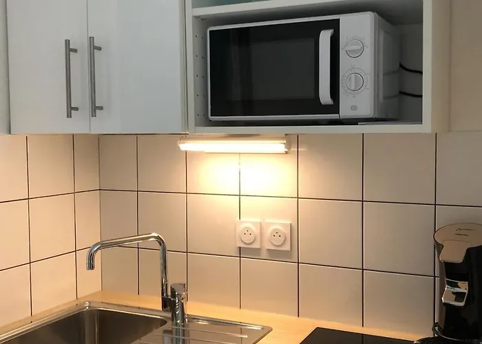 F1 Avec Vue Dégagée, 6 M2 Terrasse, Wi-fi * Clermont-Ferrand